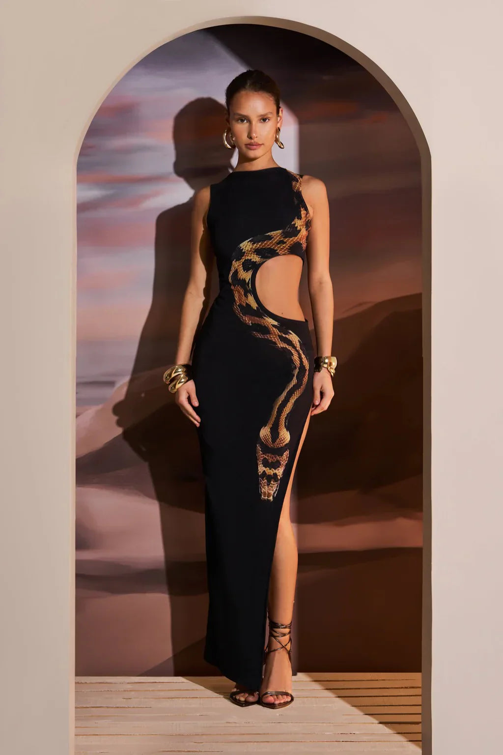 Black Cut Out Maxi Dress with Snake Print Mesh Detail