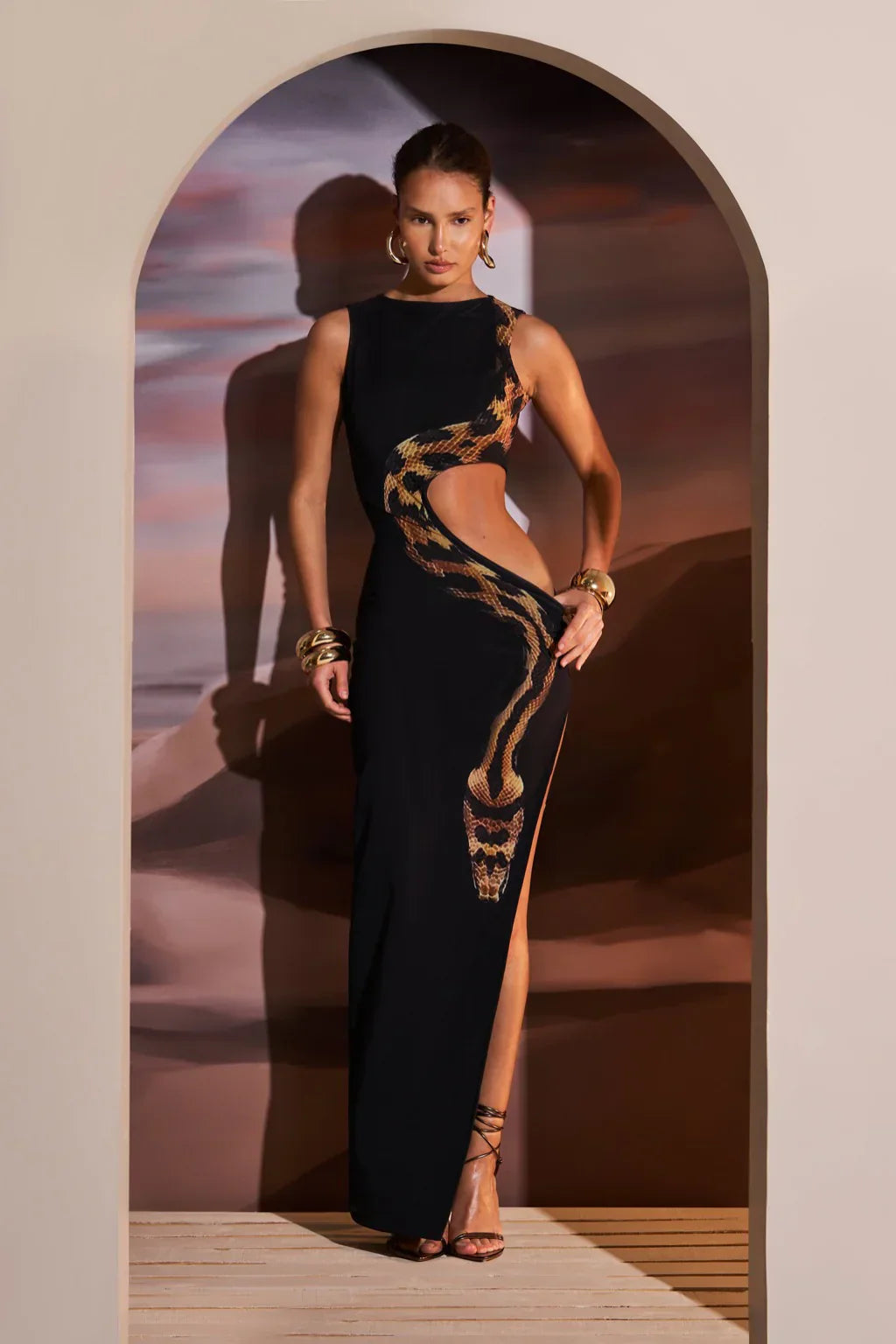 Black Cut Out Maxi Dress with Snake Print Mesh Detail